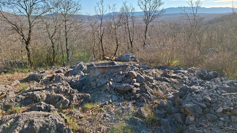 20260406_174251.jpg